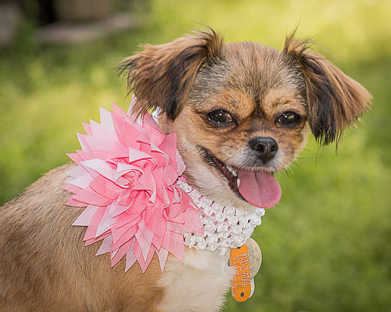 Foster Missy-0570