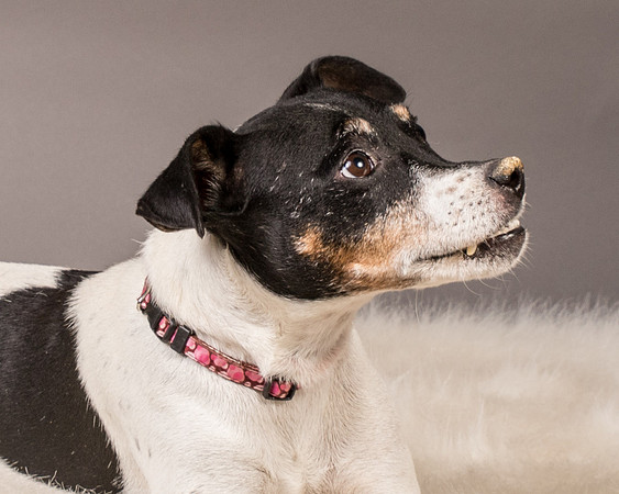 Foster Pollyanna-3912