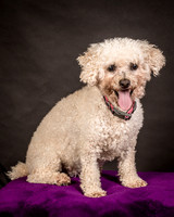 Foster Mae-8965