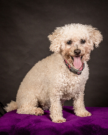 Foster Mae-8965
