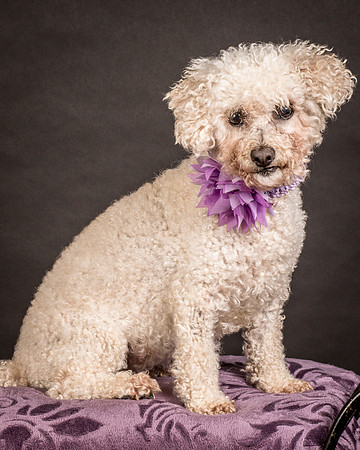 Foster Mae-9159