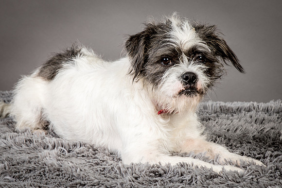Foster Leeza-2642
