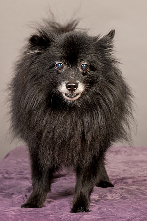 Foster Wayne-8272