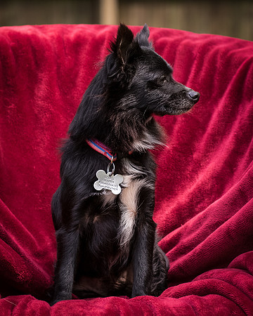 Foster Julio-8490