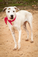 Carley-1103