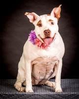Foster Joanie-0414