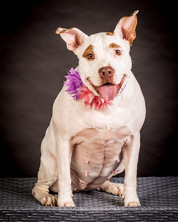 Foster Joanie-0414