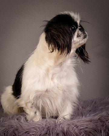 Foster Gypsy Rose-7855