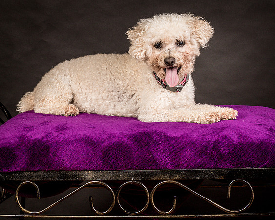 Foster Mae-8972