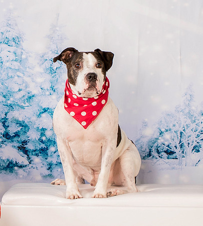 Foster Duke-0488