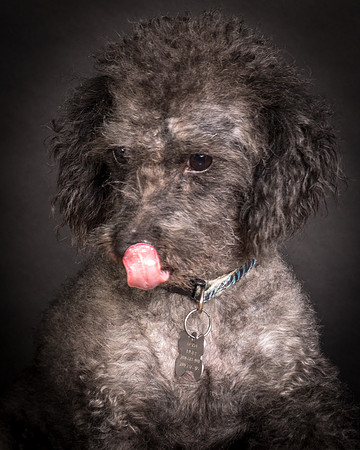 Foster Mokey-1359