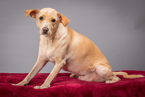 Foster June-3557