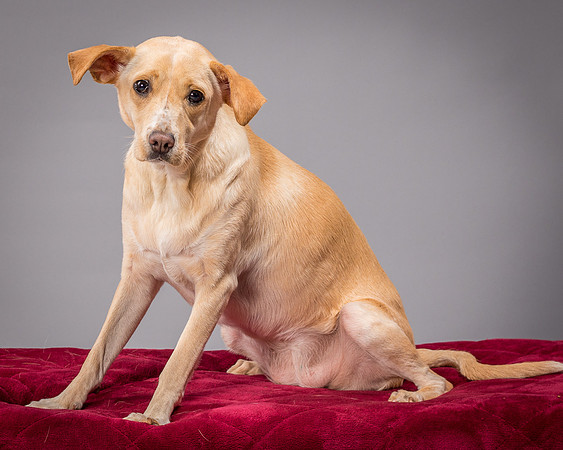 Foster June-3539