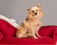 Foster Kree-4872