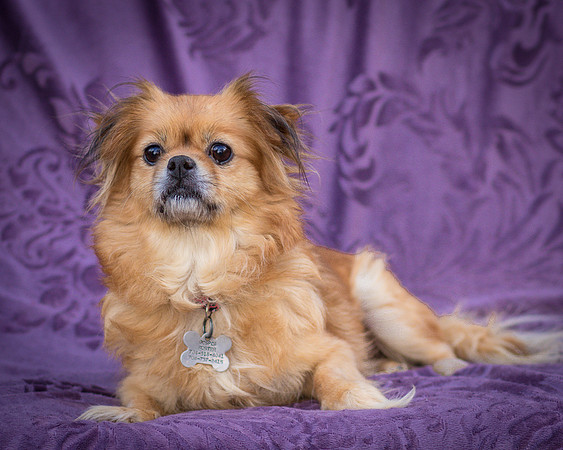 Foster Tia Maria-7832