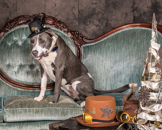 Foster Juliana-8052