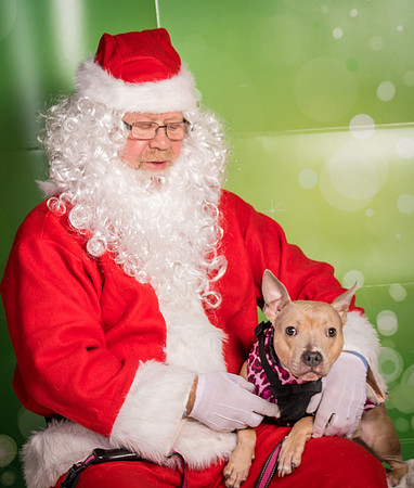 Foster-2265