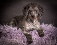 Foster Mokey-1332
