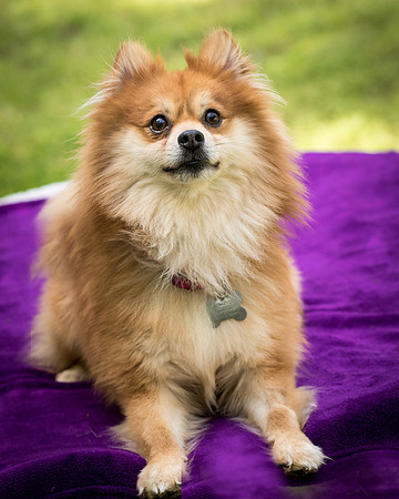 Foster Quincy-7809