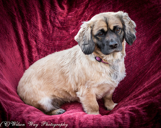 Foster Trudy-40