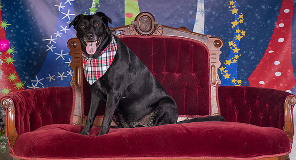 Foster Beatrice-3992
