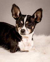 Foster Justice-4596