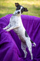 Foster Haylie-4104