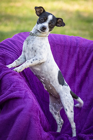 Foster Haylie-4104