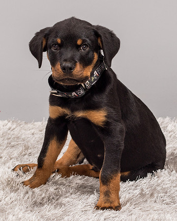 Foster Titus-7699