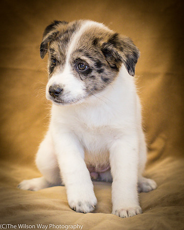 Foster Mira Jane-0293