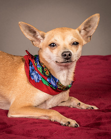 Foster Rosanna-3796