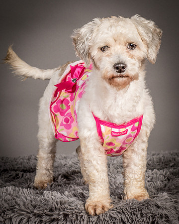 Foster Everly-2257