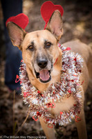 Foster Rita-2561