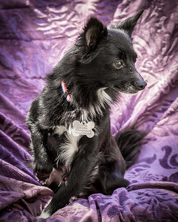 Foster Julio-6210