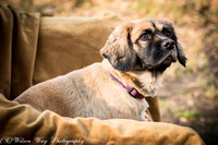 Foster Trudy-3