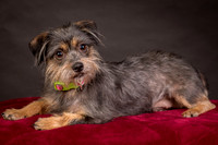 Foster Nadine-9584