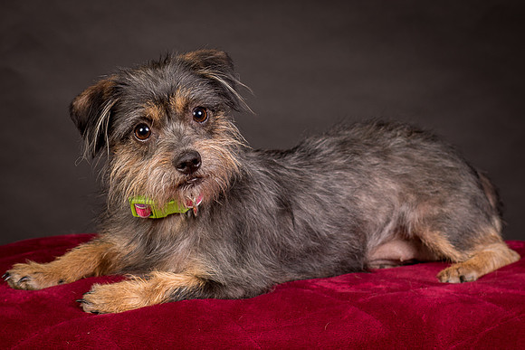 Foster Nadine-9584