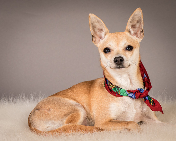 Foster Rosanna-3858