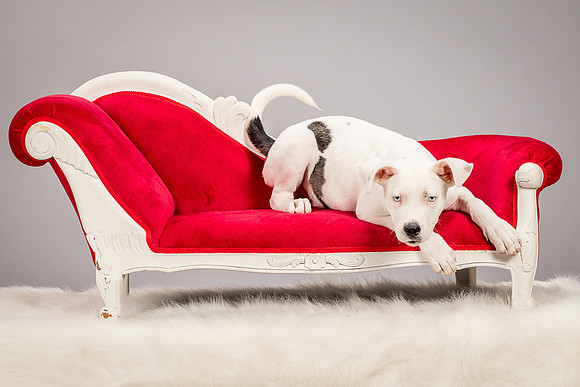 Foster Alvin-4711