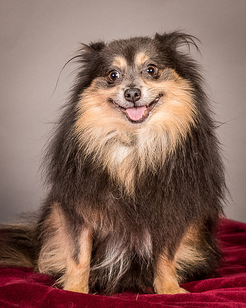 Foster Clint-4224
