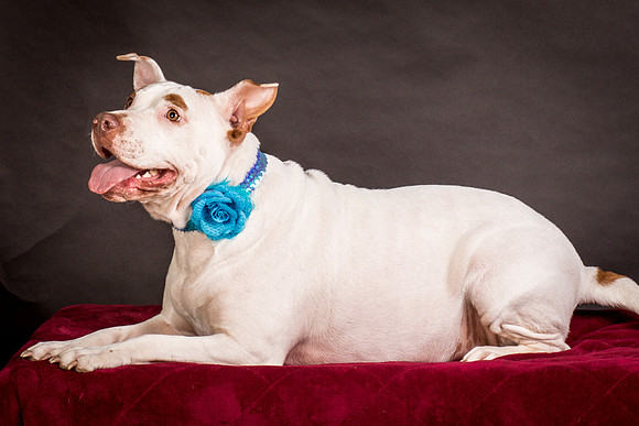 Foster Joanie-0494