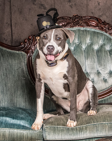 Foster Juliana-8069