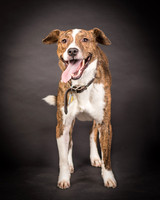 Foster Coolidge-2998