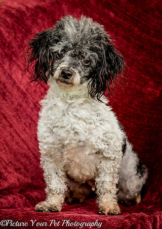 Foster Punky Brewster-3140