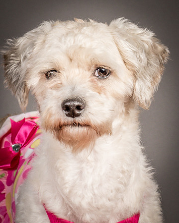 Foster Everly-2251