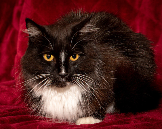 Foster Hershey-9490