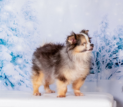 Foster Gabe-4576