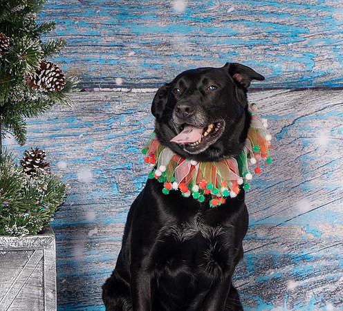 Foster Beatrice-4040