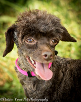 Foster Edna-2941
