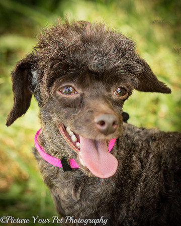 Foster Edna-2941